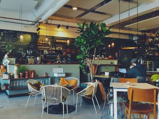 Café mit Pflanzen und verschiedenen zusammengewürfelten Möbelstücken
